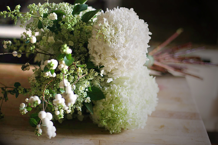 Green-and-white-hydrangeas