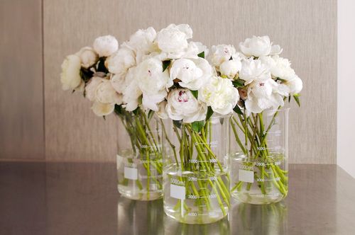 White-peonies-wedding-centerpieces-in-glass-beakers