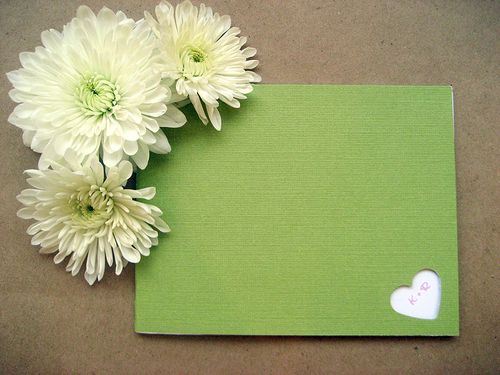 Pink-and-green-invites9