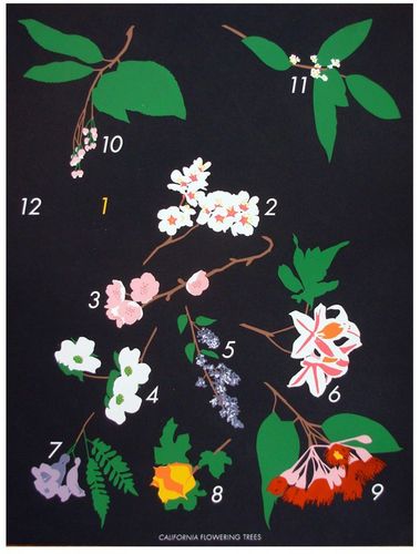 Claire-Nereim-Floral-Print